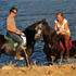 Hispano-Arabische paarden genietend aan het meer